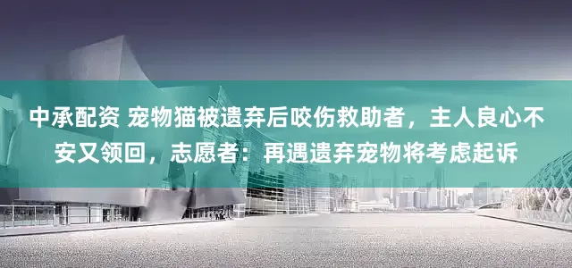中承配资 宠物猫被遗弃后咬伤救助者，主人良心不安又领回，志愿者：再遇遗弃宠物将考虑起诉